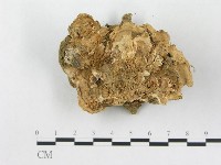 登錄號:F0014506藏品圖，第1張