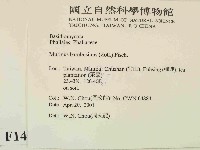 登錄號:F0014507藏品圖，第2張