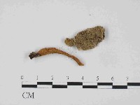 登錄號:F0014507藏品圖，第1張