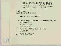 登錄號:F0014509藏品圖，第2張