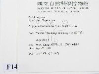 登錄號:F0014510藏品圖，第2張