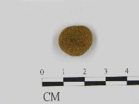 登錄號:F0014512藏品圖，第1張