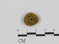 登錄號:F0014512藏品圖，第3張