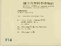 登錄號:F0014516藏品圖，第2張