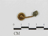 登錄號:F0014517藏品圖，第3張