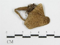 登錄號:F0014519藏品圖，第3張