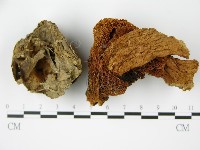 登錄號:F0014520藏品圖，第1張