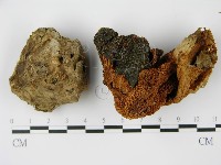 登錄號:F0014520藏品圖，第3張