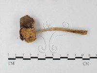 登錄號:F0014521藏品圖，第3張