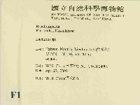 乳菇屬藏品圖，第2張