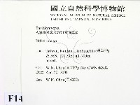 登錄號:F0014527藏品圖，第2張