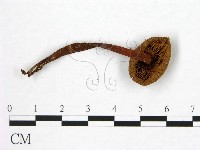 登錄號:F0014527藏品圖，第3張