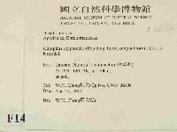 登錄號:F0014529藏品圖，第2張