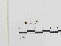 登錄號:F0014530藏品圖，第1張