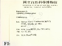 登錄號:F0014533藏品圖，第2張