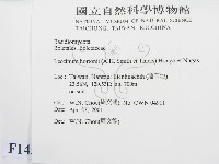 登錄號:F0014534藏品圖，第2張