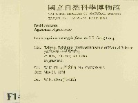 登錄號:F0014535藏品圖，第2張