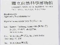 登錄號:F0014538藏品圖，第2張