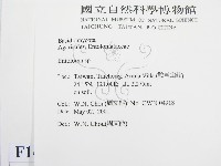 粉褶菌屬藏品圖，第2張