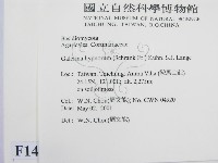 登錄號:F0014542藏品圖，第2張