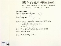 登錄號:F0014543藏品圖，第2張