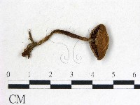 登錄號:F0014543藏品圖，第3張
