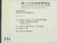 小菇屬藏品圖，第2張