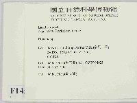 小菇屬藏品圖，第2張