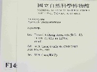 小菇屬藏品圖，第2張