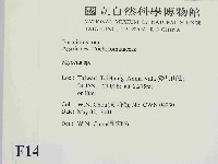 小菇屬藏品圖，第2張