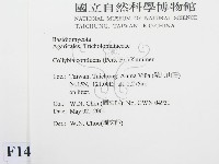 登錄號:F0014553藏品圖，第2張