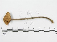 登錄號:F0014553藏品圖，第3張