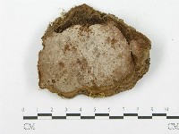 登錄號:F0014558藏品圖，第1張