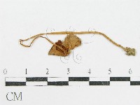 登錄號:F0014560藏品圖，第1張