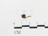 登錄號:F0014561藏品圖，第1張