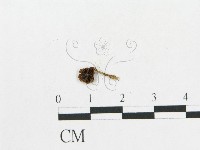 登錄號:F0014561藏品圖，第3張