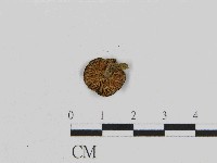 登錄號:F0014564藏品圖，第3張