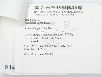 登錄號:F0014569藏品圖，第3張