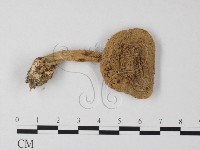 登錄號:F0014569藏品圖，第1張