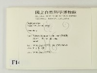 鵝膏屬藏品圖，第2張