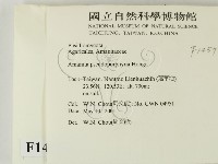 登錄號:F0014573藏品圖，第2張