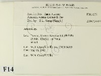登錄號:F0014577藏品圖，第2張