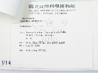 登錄號:F0014577藏品圖，第3張