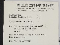 登錄號:F0014578藏品圖，第2張