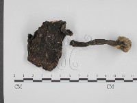 登錄號:F0014578藏品圖，第1張