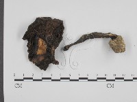 登錄號:F0014578藏品圖，第3張