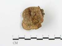 登錄號:F0014580藏品圖，第3張