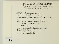 登錄號:F0014582藏品圖，第2張