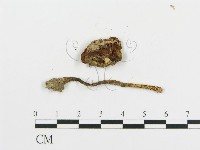 登錄號:F0014582藏品圖，第4張