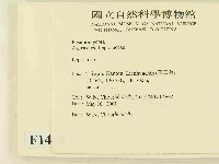 登錄號:F0014584藏品圖，第2張